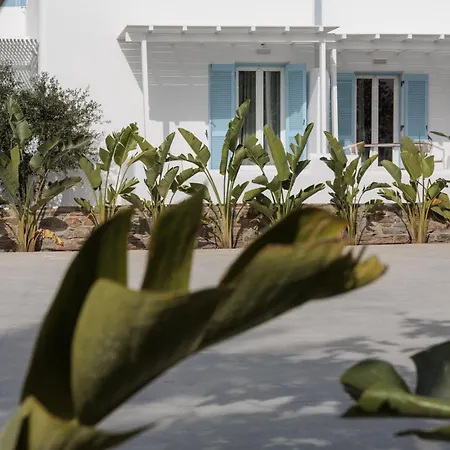Agia Anna Living Αγία Άννα